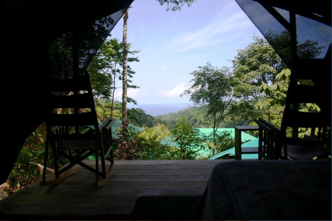 Luna Lodge Carate Oda fotoğraf