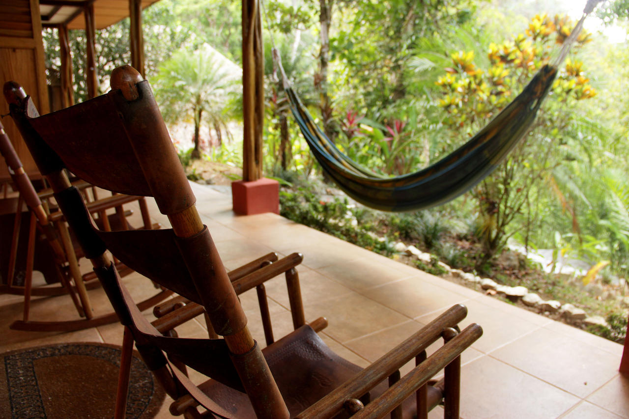 Luna Lodge Carate Oda fotoğraf