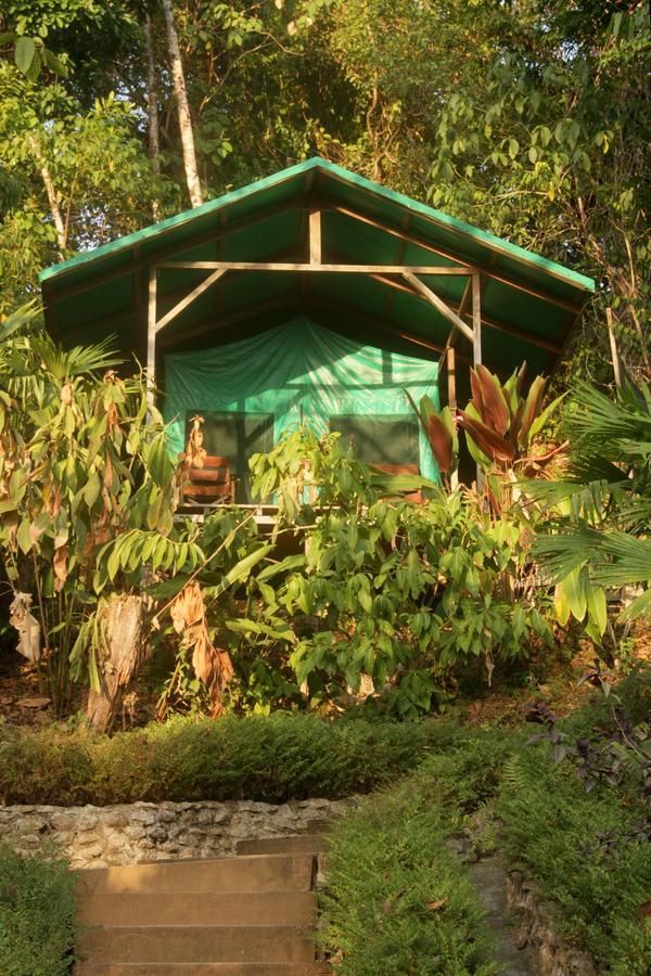 Luna Lodge Carate Oda fotoğraf