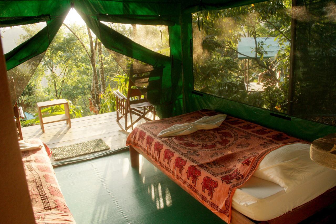 Luna Lodge Carate Oda fotoğraf