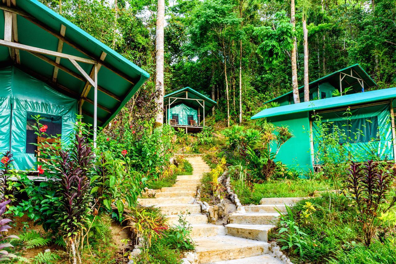 Luna Lodge Carate Oda fotoğraf